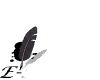  Click  to E-mail us